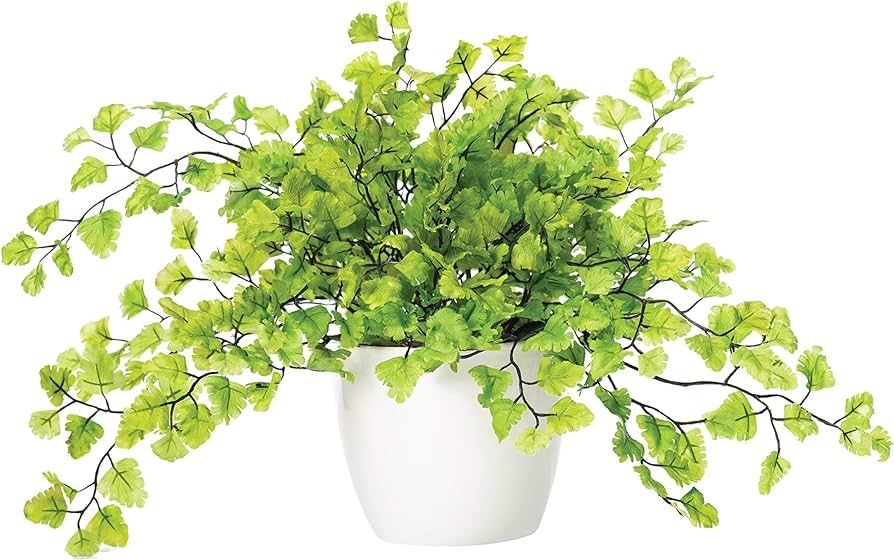 Maidenhair Fern Silk Foliage Plant | Amazon (US)