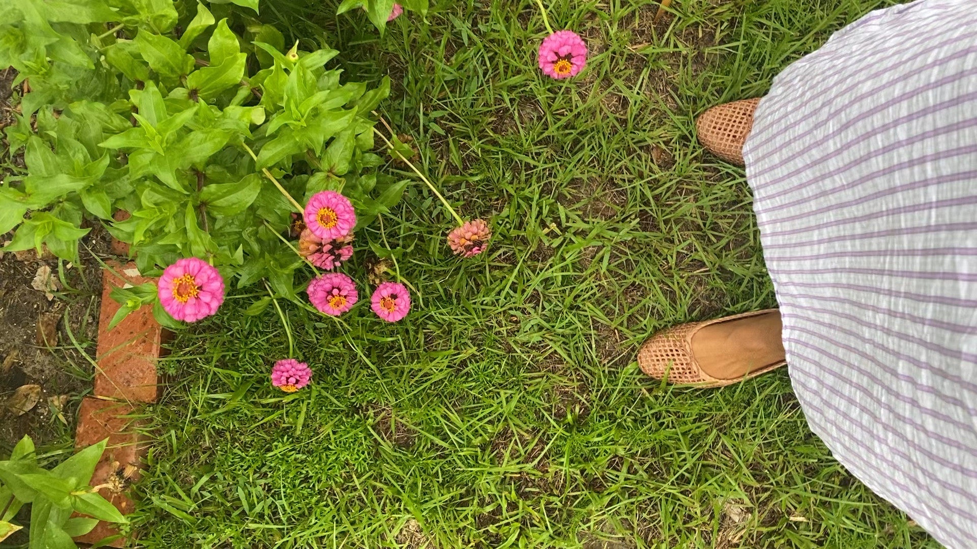 My favorite woven shoes for every occasion. These flats have been in repeat and they’re on sale and  comfortable. They run true to size and are a great summer to fall shoe  

#LTKFindsUnder100 #LTKSaleAlert #LTKShoeCrush