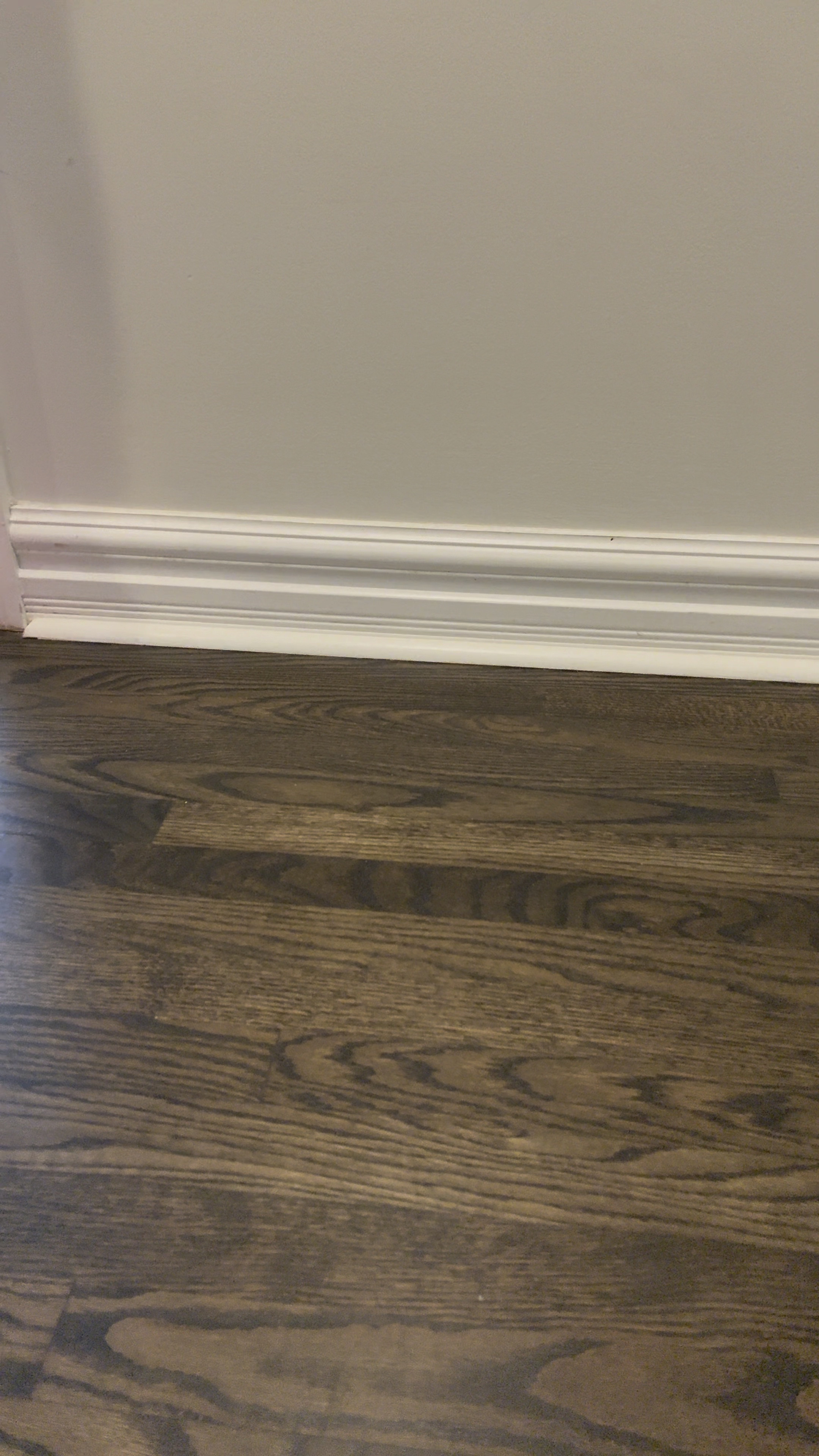 Running shoes 
Half marathon training 
Colourful shoes 


#LTKFitness #LTKShoeCrush #LTKActive