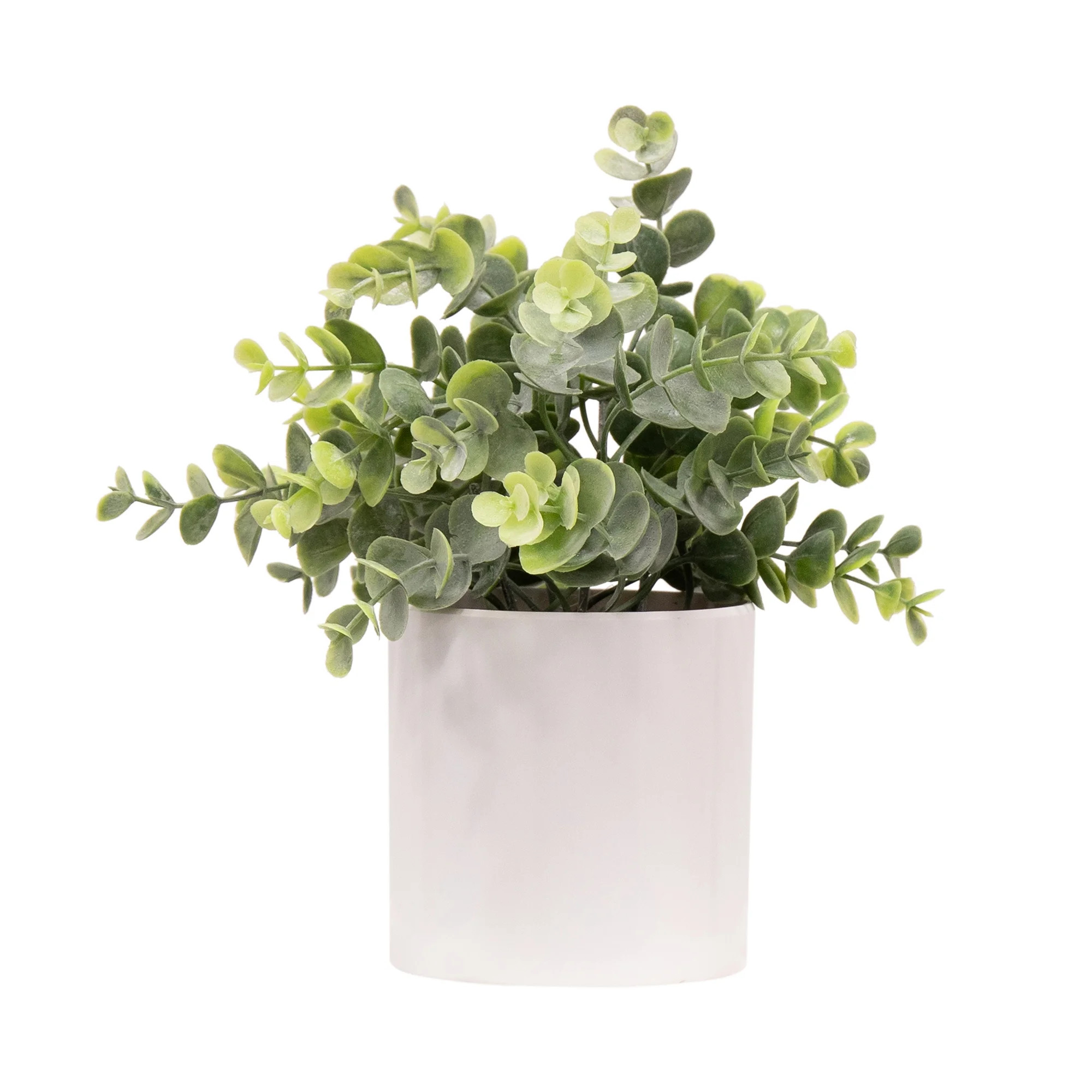 Nearly Natural Llc 9.5" Boxwood Arrangement in White Pot | Walmart (US)