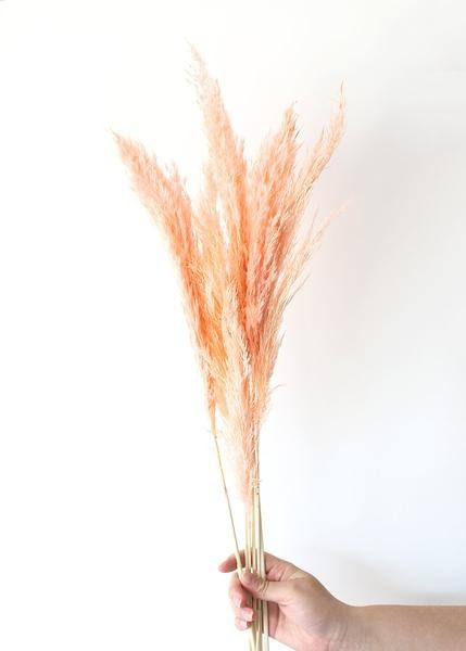 Pack of 6 - Textured Natural Pampas Grass in Pink - 20-30" | Afloral (US)