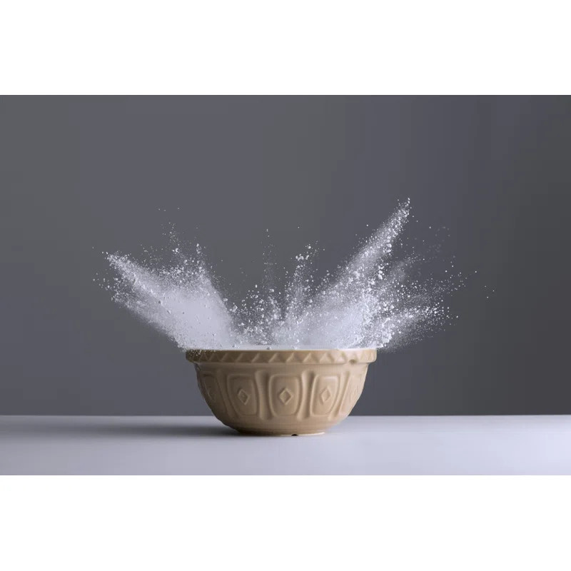 Cane Earthenware Mixing Bowl | Wayfair North America
