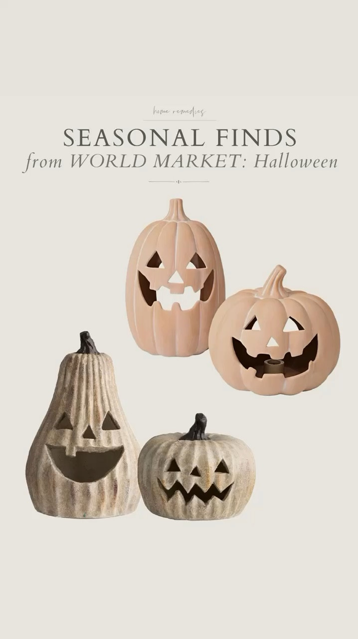 I’ve gathered some of my favorite fall decor finds from World Market! Soooo many pretty things in stock right now! Autumn, seasonal, pumpkins, Halloween, tabletop, porch 

#LTKVideo #LTKHome #LTKSeasonal