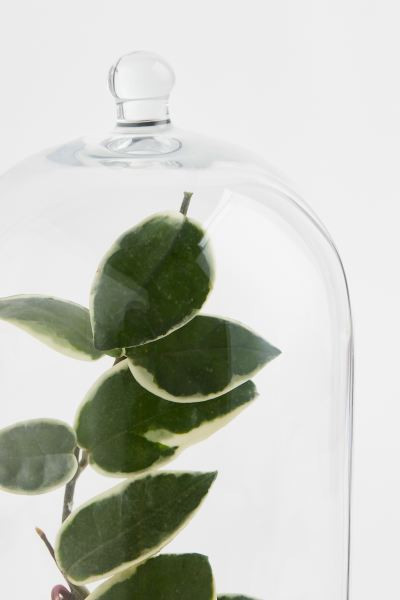 Glass Dome | H&M (US + CA)
