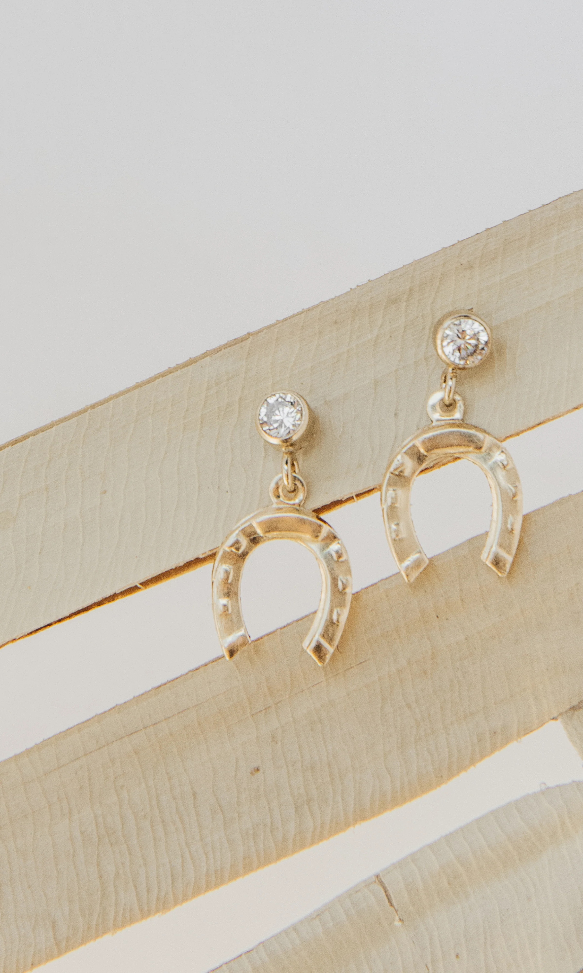 Colt Earrings | Set & Stones