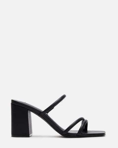 AVANI BLACK | Steve Madden (US)