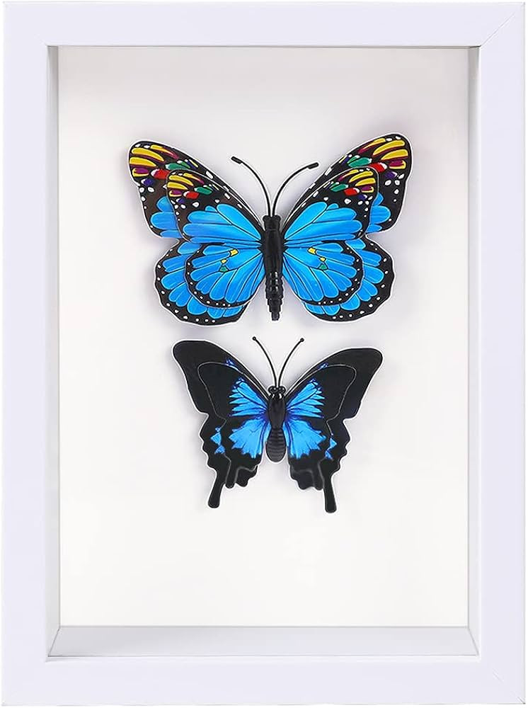 4x6 White Small Shadow Box Frame Display Case for Photos,Flowers,Wedding Bouquets,Awards,Insects ... | Amazon (US)
