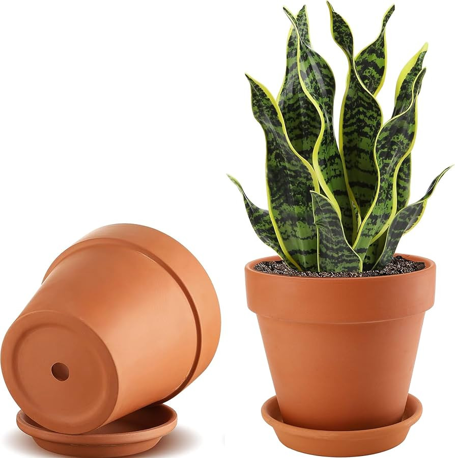 2 Pack Large Terracotta Pots with Saucer for Plants, 8 Inch Terra Cotta Plant Pot with Drainage H... | Amazon (US)