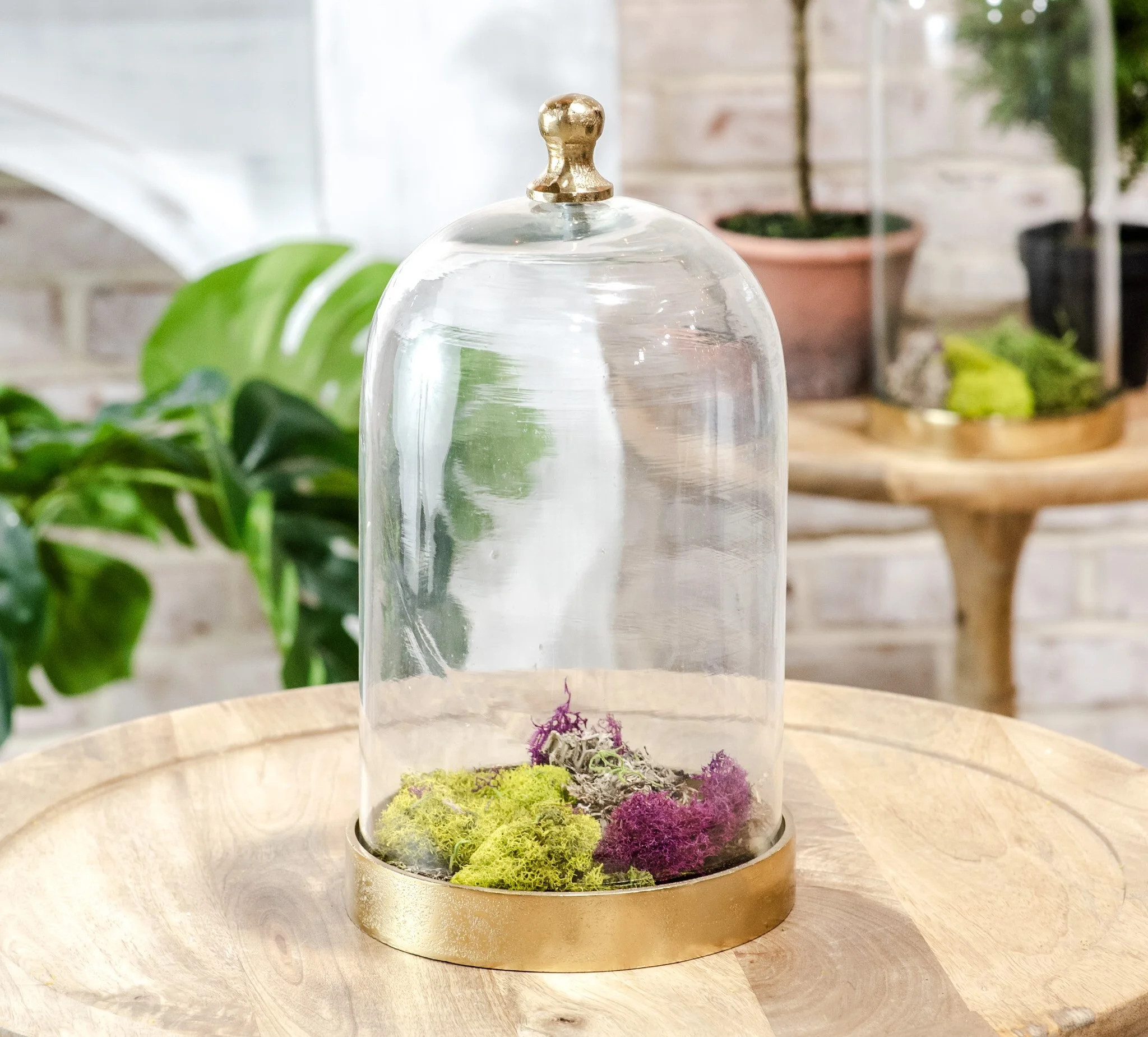 12" Glass Cloche W/ Gold Base | Fiddle & Fig