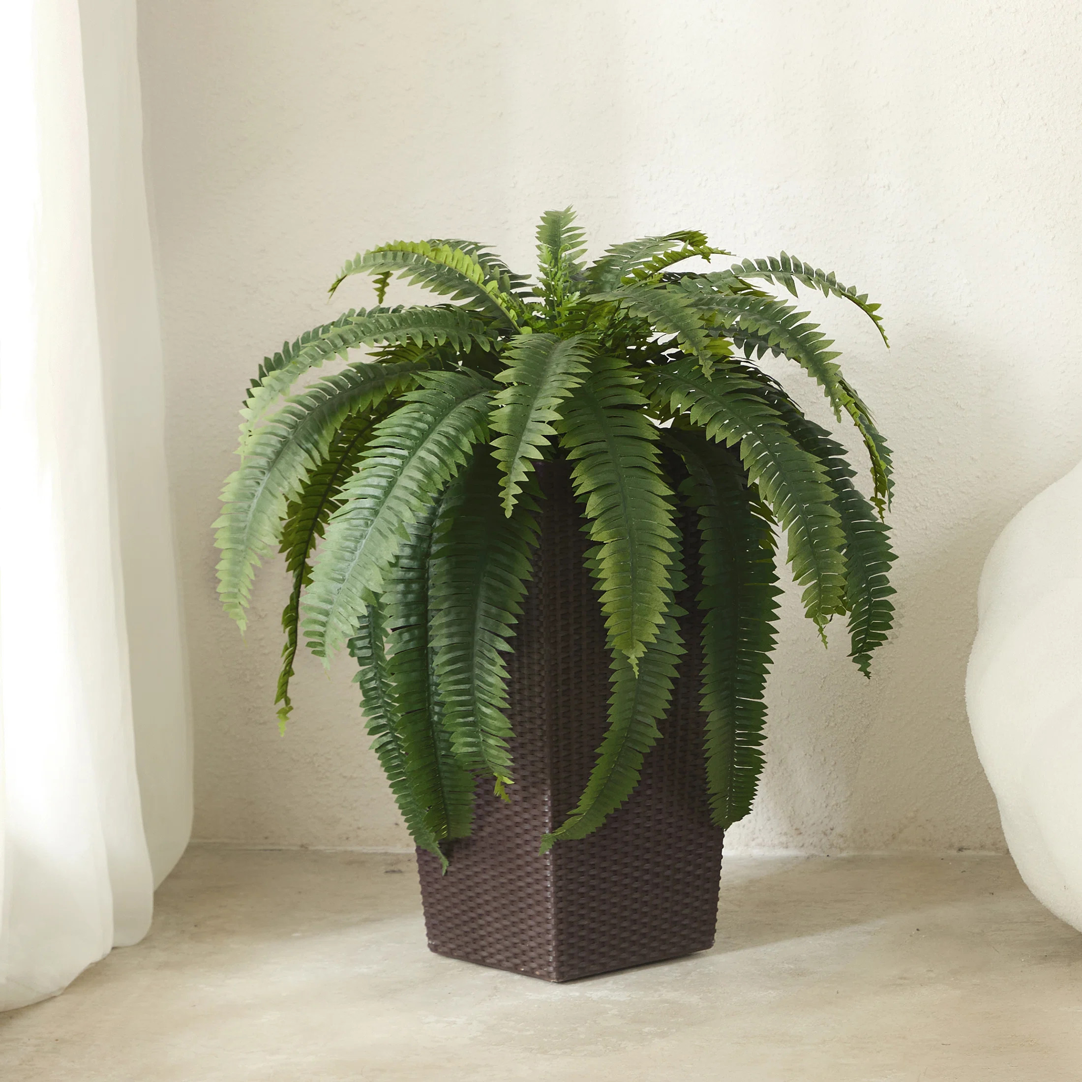 Primrue Adcock Artificial Boston Fern Bush Plant with Tapered Planter - UV Resistant Faux Ferns w... | Wayfair North America