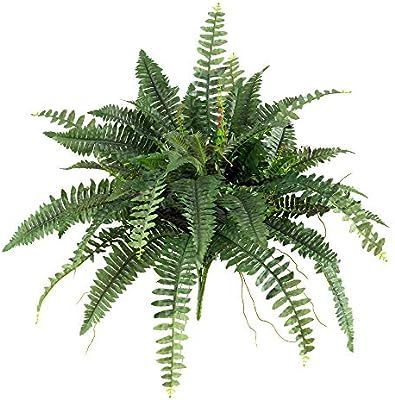 Nearly Natural 6032-S2 40” Boston Fern (Set of 2), Green, 2 Piece | Amazon (US)