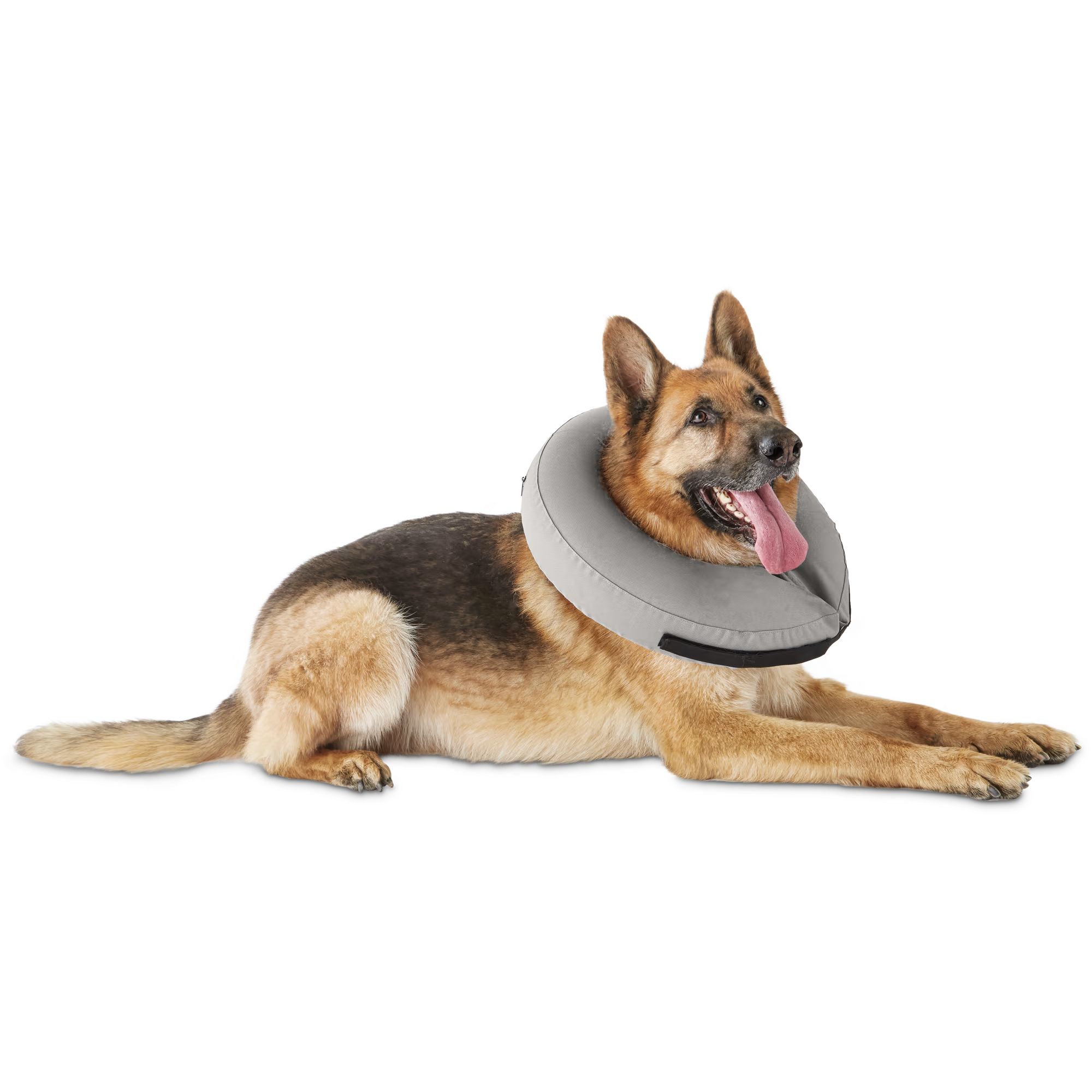 Well & Good Inflatable Collar for Dogs and Cats, Large/ X-Large | Petco