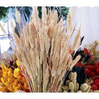 Premium Dried Grass | Setaria Flower Bouquet Fall Home Decor Boho Wedding Natural Beige Wreaths Brid | Etsy (US)