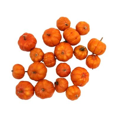 18 Piece Artificial Pumpkins Set | Wayfair Professional