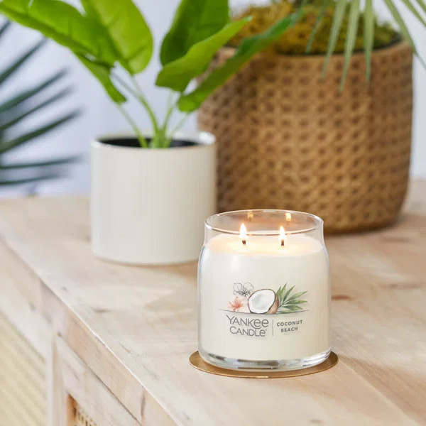 Signature Coconut Beach Scented Jar Candle | Wayfair North America