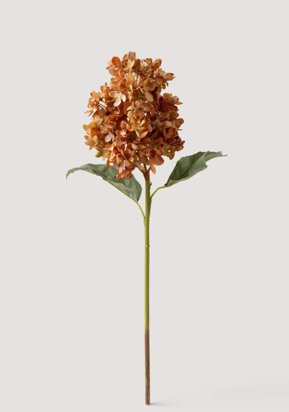 Dried Look Fake Cone Hydrangea Stem in Autumn - 23" | Afloral