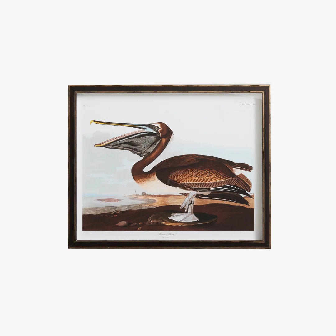 Pelican Bookplate Print | Dear Keaton