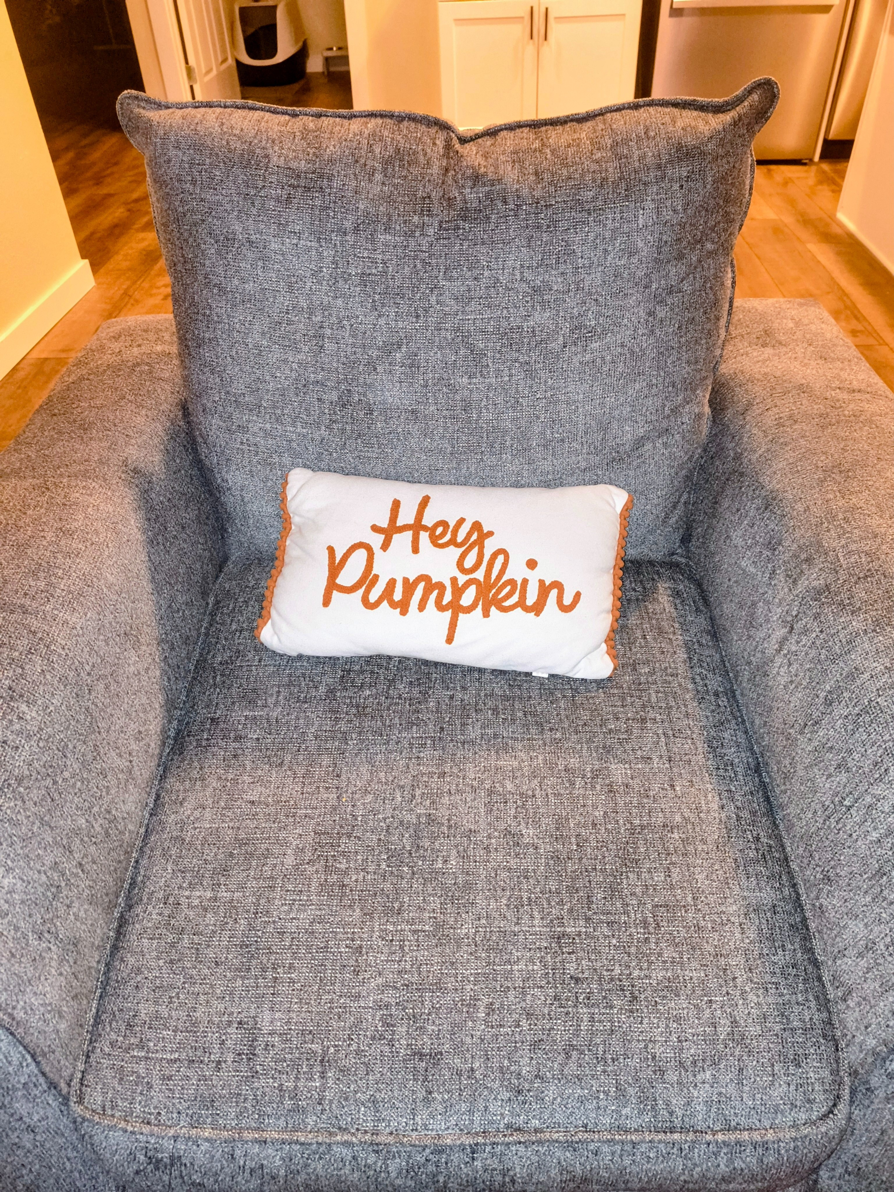 Such a cute pillow but I need Christmas pillows now!

#LTKCyberWeek #LTKFindsUnder50 #LTKHoliday