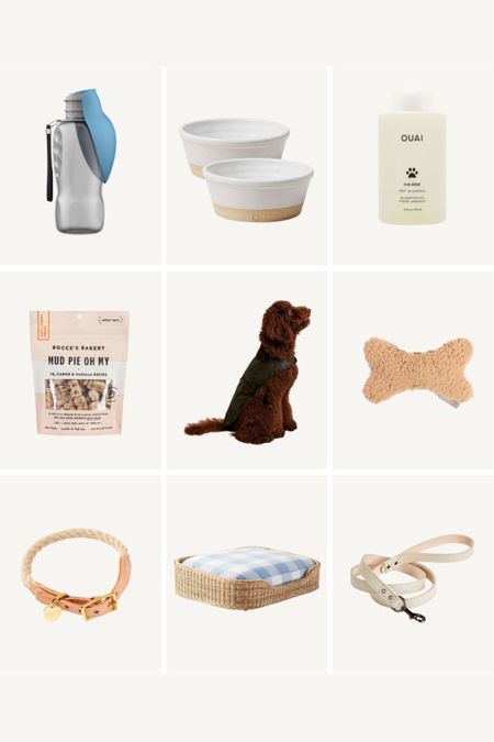 More gift ideas for pets 🐶 

#LTKSeasonal #LTKHoliday #LTKGiftGuide