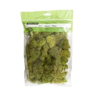 Ashland® Reindeer Moss | Michaels Stores