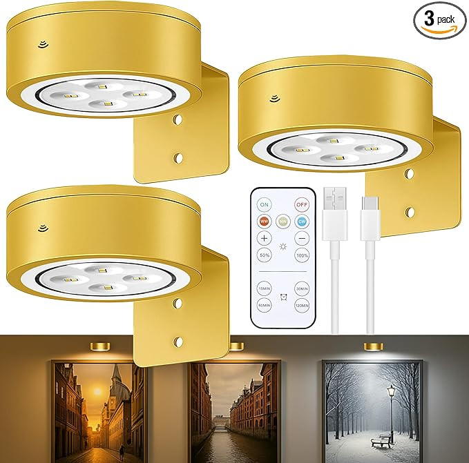 3-Pack Picture Lights for Wall, Rechargeable Battery Operated Led Painting Light with Remote Dimm... | Amazon (US)