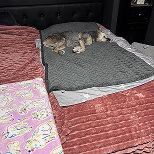 Bedsure GentleSoft White Throw Blanket for Couch - Cozy Blanket for Women, Cute Fleece Throw for ... | Amazon (US)