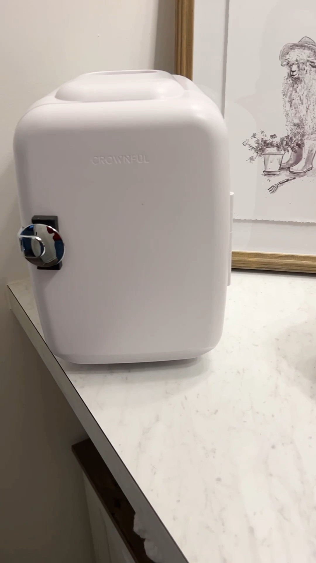 Mini Skincare Fridge = Main Character Energy 💅🧊

Okay besties… this little mini fridge is the upgrade your skincare routine didn’t know it needed.

Perfect for keeping your serums, masks, and beauty must-haves cool + fresh — and it looks sooo cute on a vanity or bathroom counter 🤍

Also great for dorms, offices, or even snacks because she’s versatile like that 😌✨

Linked on LTK for anyone who wants one!

⸻

#SkincareFridge #BeautyMustHaves #SkincareRoutine #SelfCareEssentials #AmazonFinds
