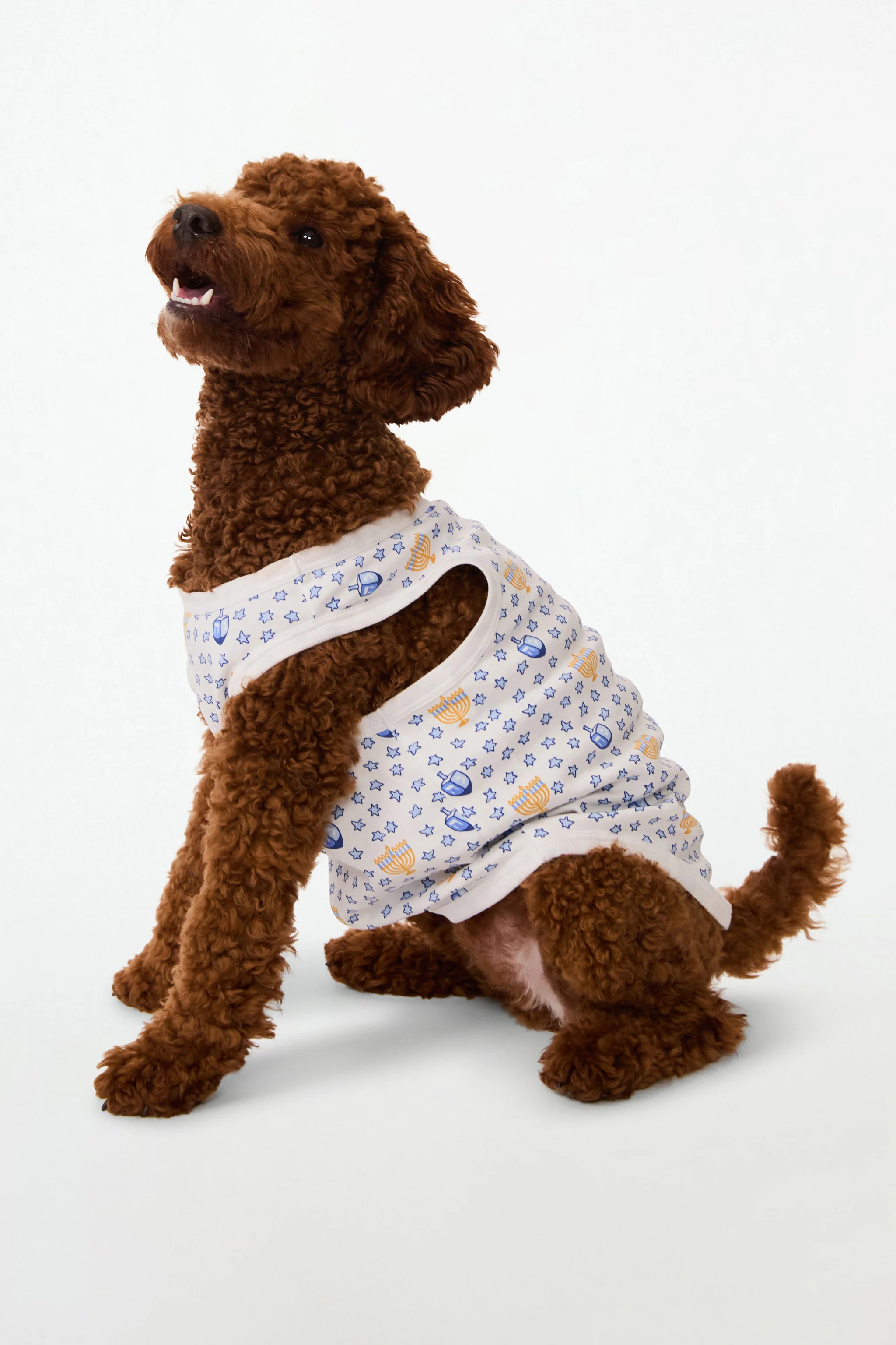 Festival Of Lights Dog Pajamas | Roller Rabbit