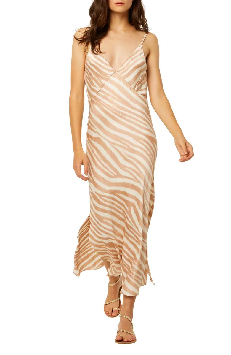 Raisa Zebra Stripe Maxi Dress | Nordstrom | Nordstrom