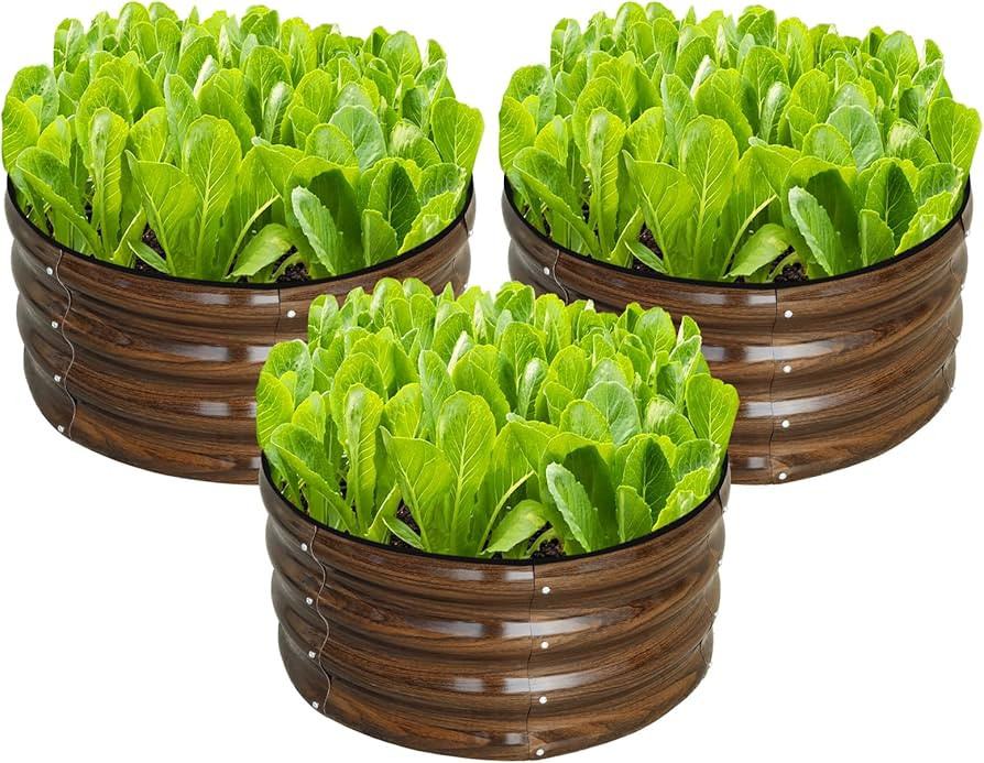 SnugNiture 3 Pcs 2x2x1ft Round Galvanized Raised Garden Bed Kit Outdoor, Metal Planter Box for Pl... | Amazon (US)
