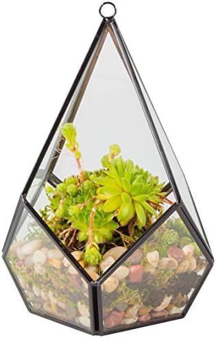 Deco Glass Geometric DIY Terrarium for Succulent & Air Plant - Hanging Teardrop Shape for Indoor ... | Amazon (US)
