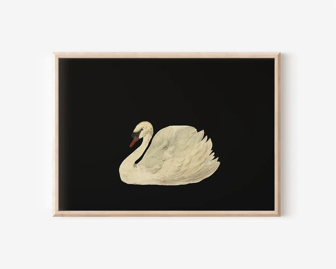 Vintage Swan Painting on Black Background | PRINTABLE Digital Downloads | Antique Swan Oil Painti... | Etsy (US)