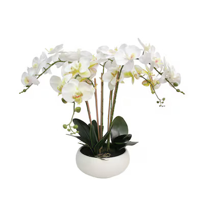 allen + roth 23-Inches Green, white Indoor Desktop Orchid Artificial flower | Lowe's