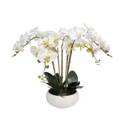 allen + roth  23-in Green, White Indoor Artificial Orchid Flowers | Lowe's