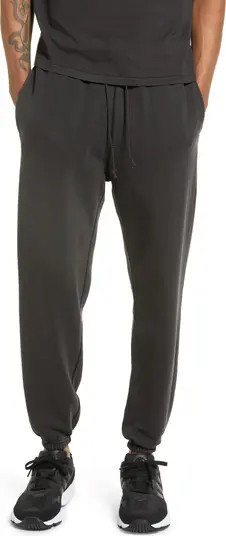 Core Organic Cotton Brushed Terry Sweatpants | Nordstrom