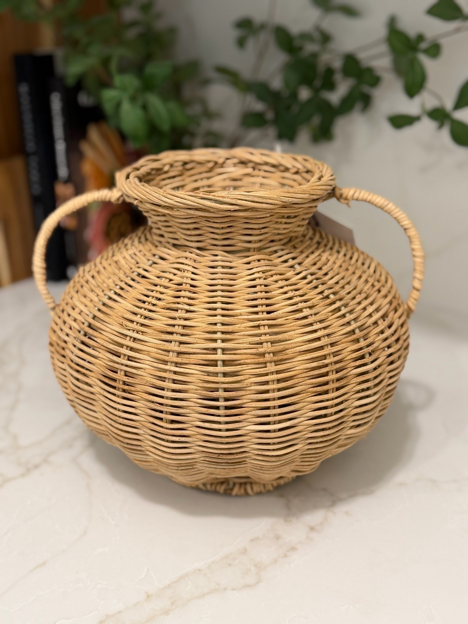 Obsessed with this wicker vase!!

#LTKSeasonal #LTKHome