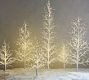 Lit Twinkling Twig Tree | Pottery Barn CA