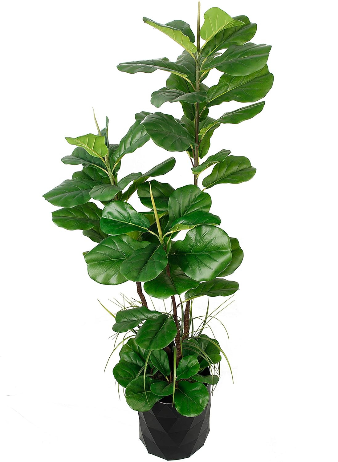 GARDEN COUTURE | Amazon (US)