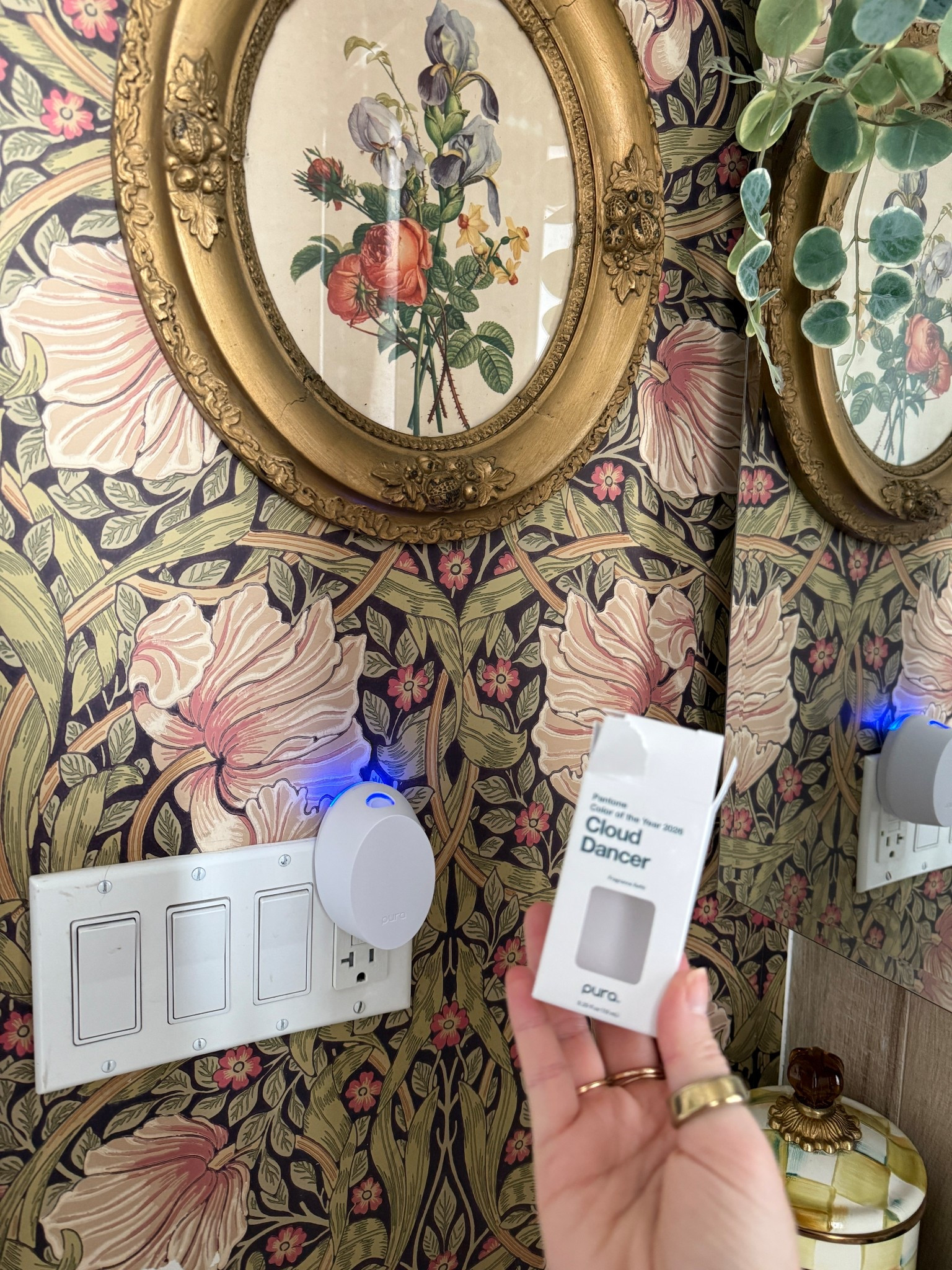 Pura x patone smart diffuser

@Pura #Pura #PuraPartner #PuraXPantone #PantoneCOTY #COTY2026

#LTKHome #LTKHoliday #LTKGiftGuide