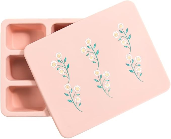 Austin Baby Co Leak-Proof Bento Lunch Box for Kids – Silicone Kids Lunch Container with 5 Leakp... | Amazon (US)