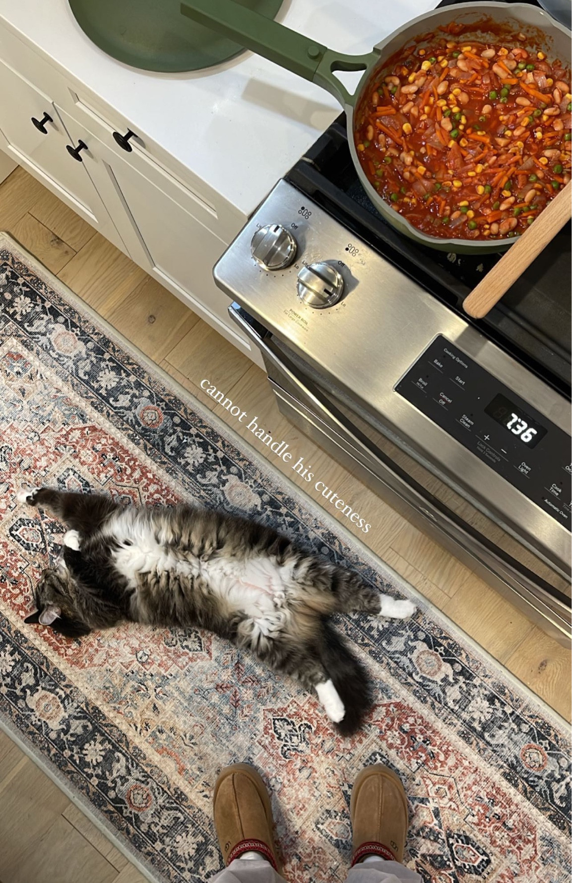 Runner + pan linked! 
use code VIVIANEAUDI10 for anything on ruggable! 

#LTKunder100 #LTKhome