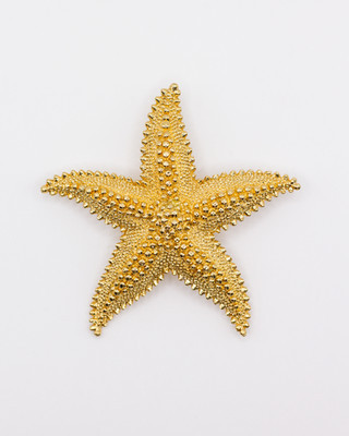 Vintage Monet Textured Gold Tone Starfish Pin Brooch Sea Star | eBay | eBay US