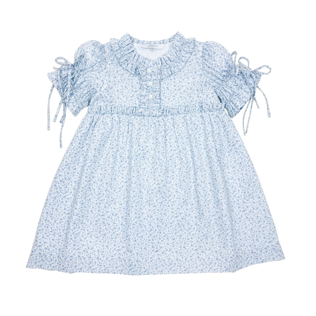 Chloe Dress | BellBird