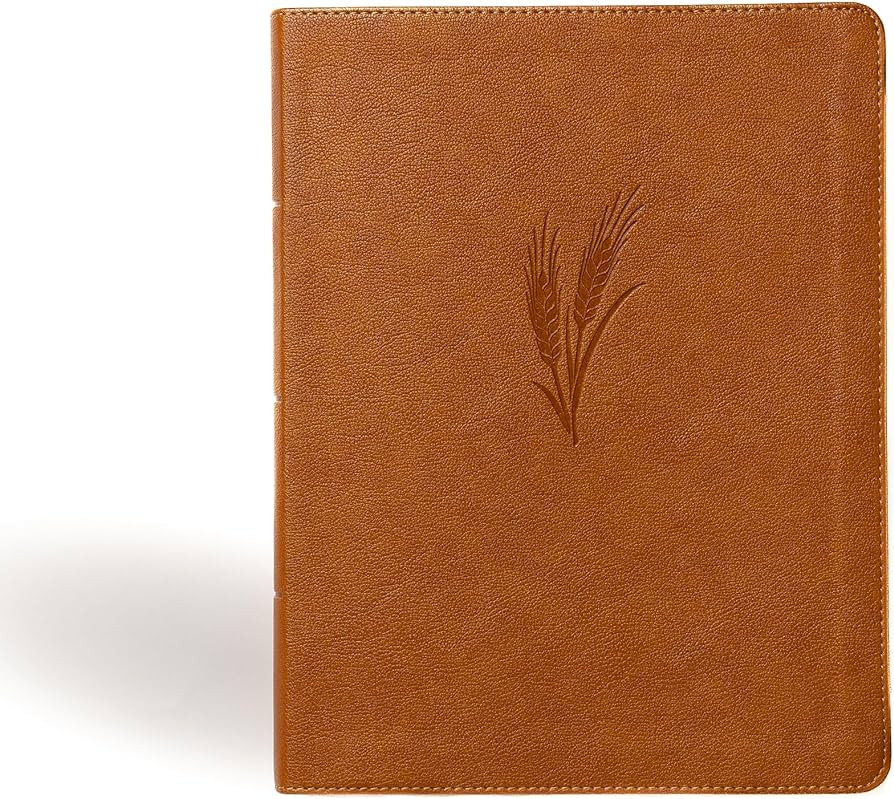 CSB Notetaking Bible, Large Print Edition, Camel LeatherTouch Over Board, Black Letter, Wide Marg... | Amazon (US)