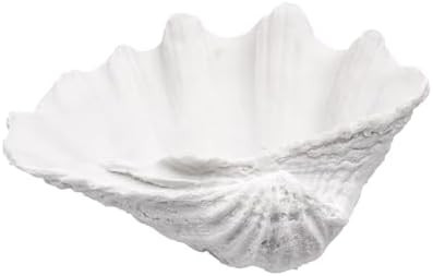 Medium White Scalloped Clam Shell Bowl Sea Shell Decor for Nautical Beach House,Coastal Decor Gif... | Amazon (US)