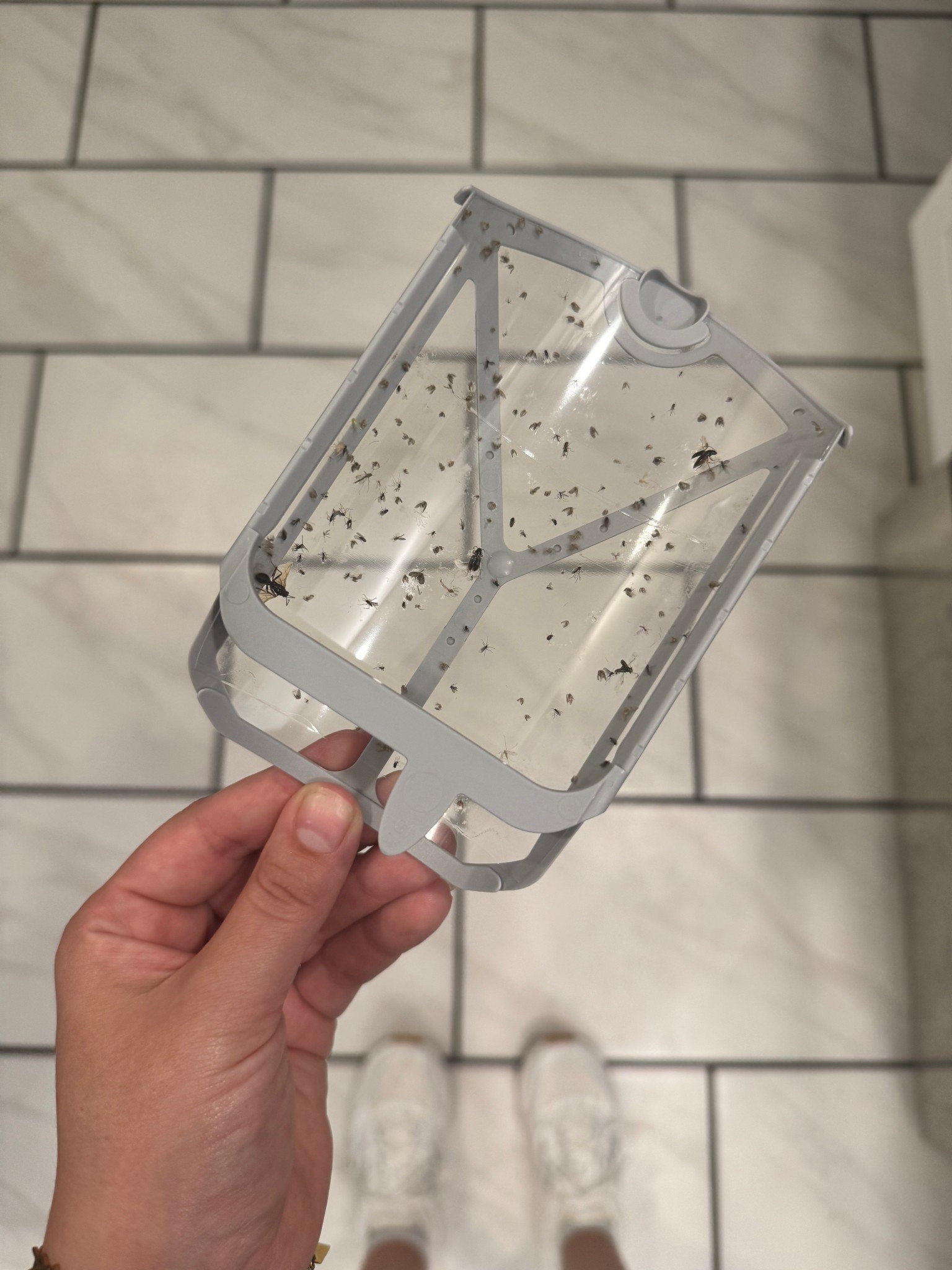 Didn’t know I needed this until I had it - super discreet plug in - and easily refillable! Had no clue how many little bugs were flying around our house 🤢

#LTKSeasonal #LTKFindsUnder100 #LTKHome