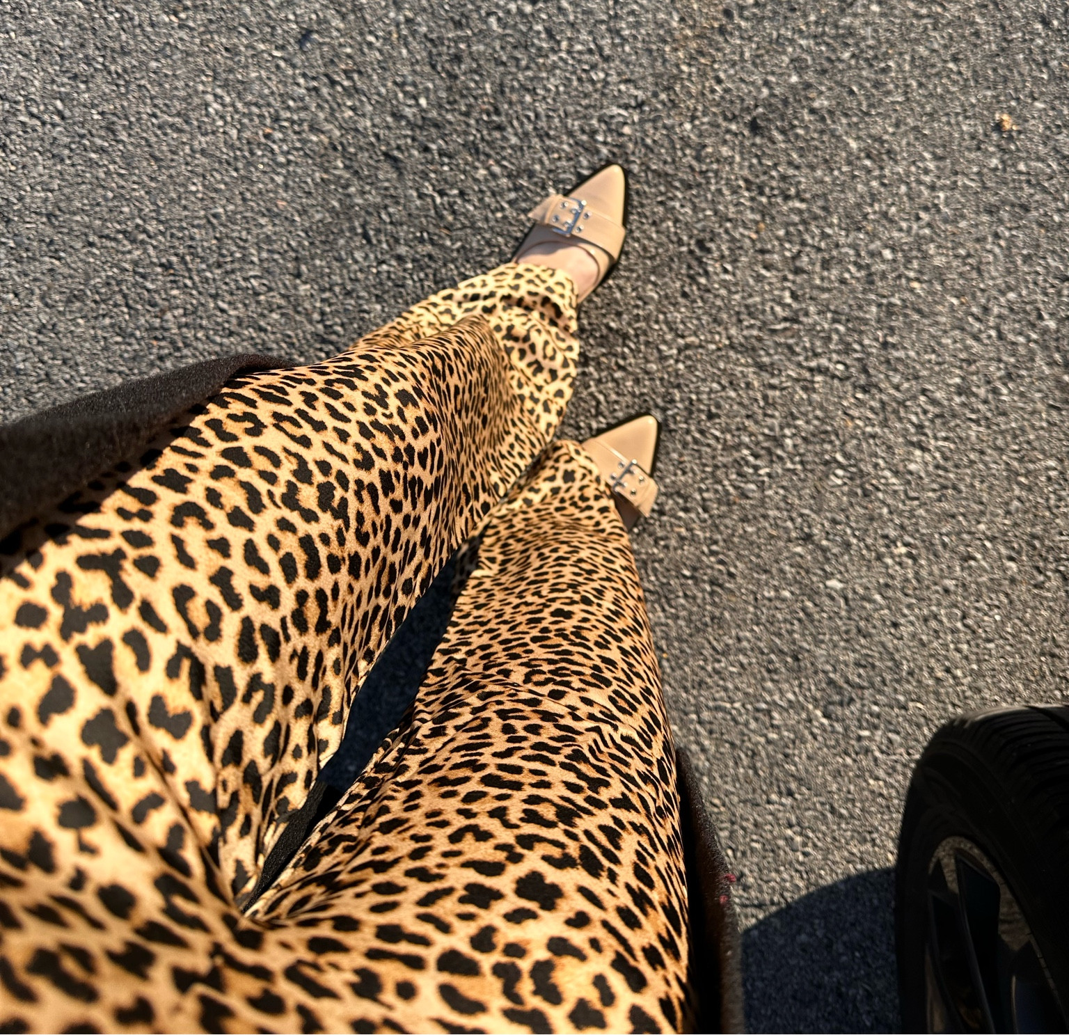 Buckle shoes a Steve Madden dupe for 1/3 the price!

#LTKStyleTip #LTKSaleAlert #LTKFindsUnder50