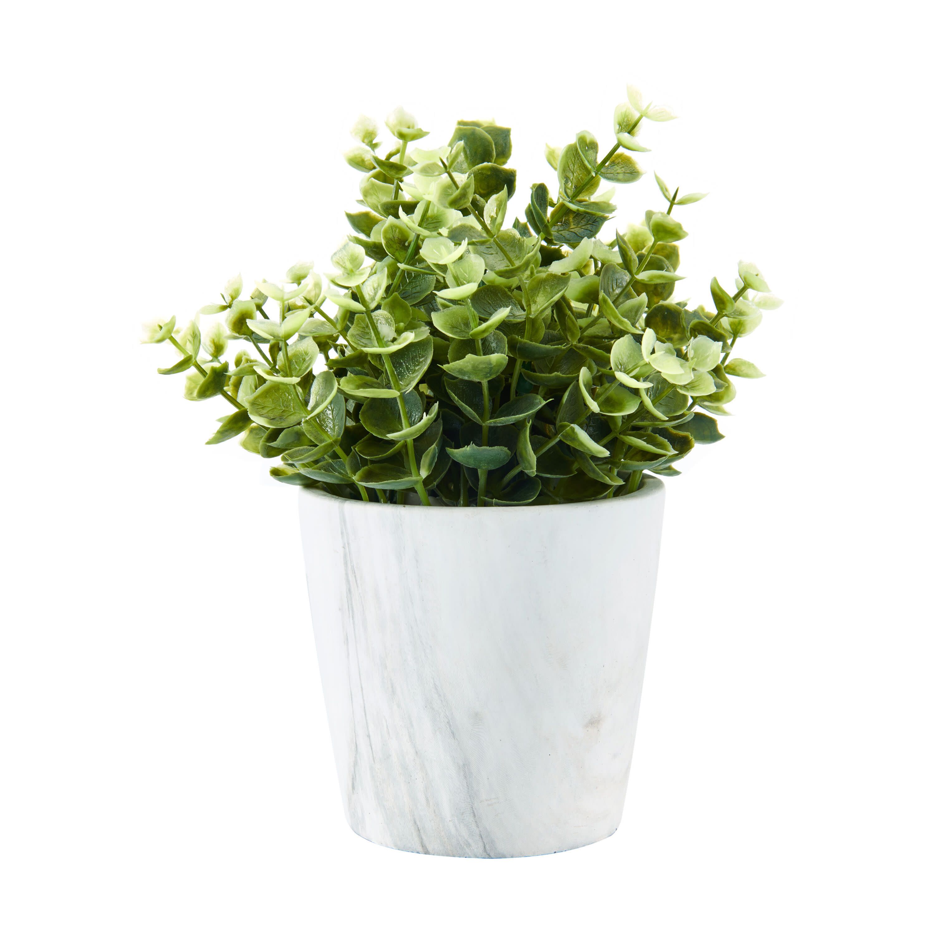 Elements Artifical 10-inch Eucalyptus Plant with Ceramic Pot - Walmart.com | Walmart (US)