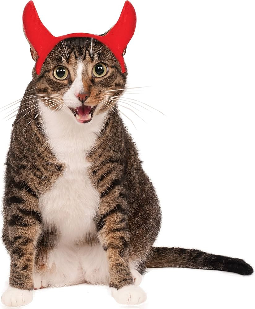 Rubie's Devil Horns Pet Costume Accessory, Small/Medium | Amazon (US)