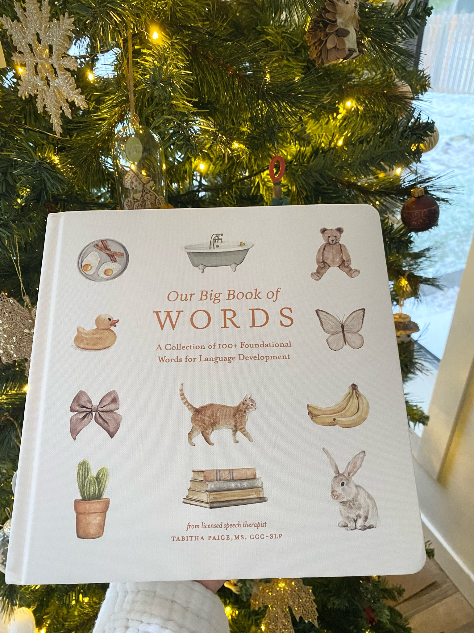 Christmas gift giving!
Picked up this book for our little one. It would make the most perfect gift for any toddler.
#childrensbook
#ad #ads #gifts 

#LTKgiftguide #LTKkids #LTKbaby